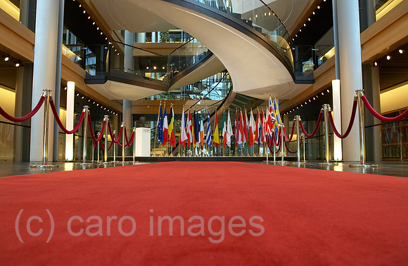 00R070313D027CARO.JPG