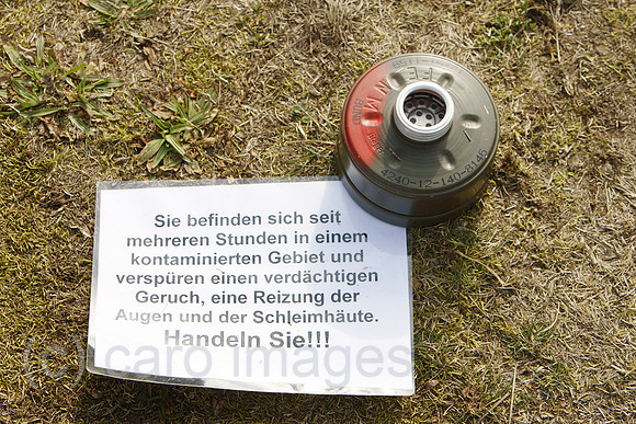 00U070315D007CARO.JPG