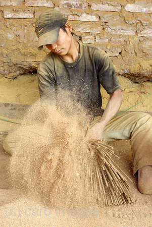 00U061214D035CAROE.JPG