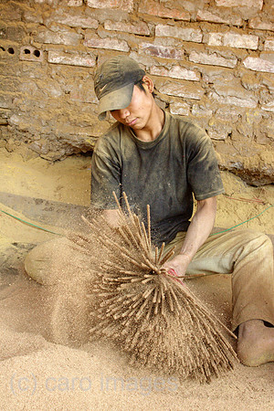00U061214D037CAROE.JPG