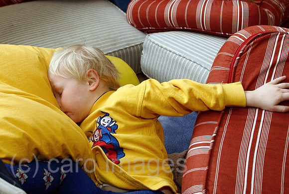 00U070219D004CARO.JPG