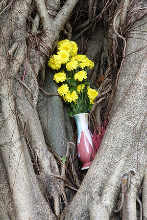 00U061209D081CAROE.JPG