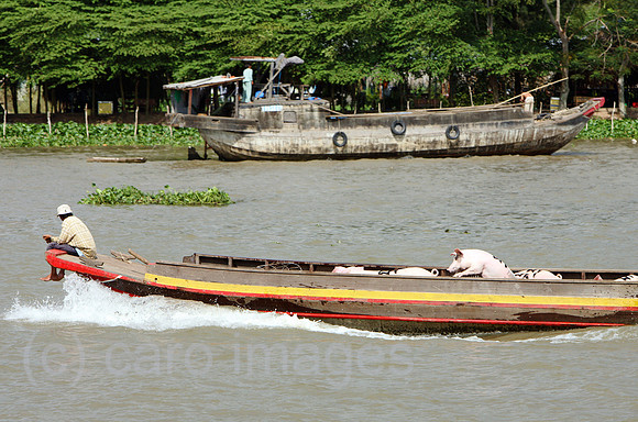 00U061205D011CARO.JPG
