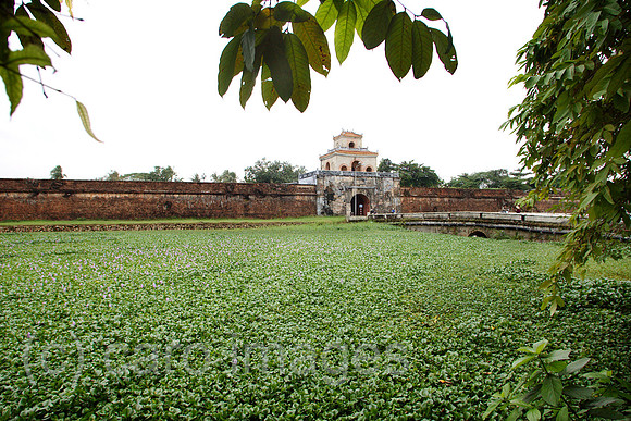 00U061209D067CARO.JPG