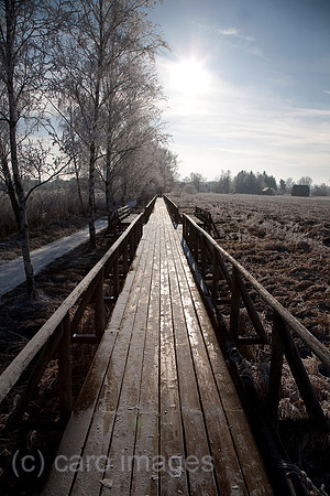 0SH100118D010CAROE.JPG