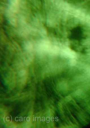 0SH060130D087CARO.JPG