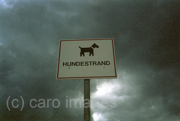 00N005032ACARO.JPG