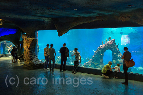 00A150505D184CARO.JPG