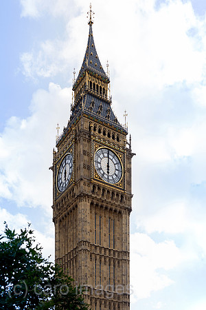 0TS160803D021CARO.JPG