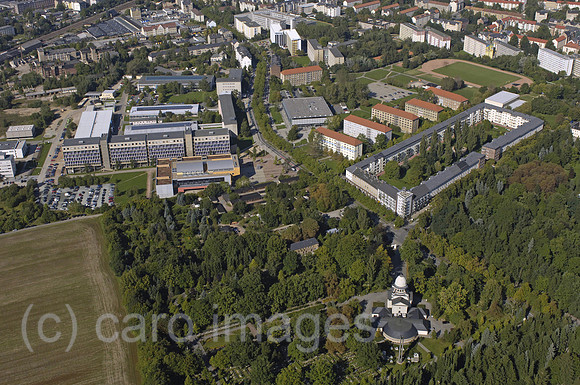 0UX050923D173CARO.JPG