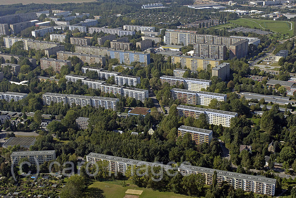 0UX050923D258CARO.JPG