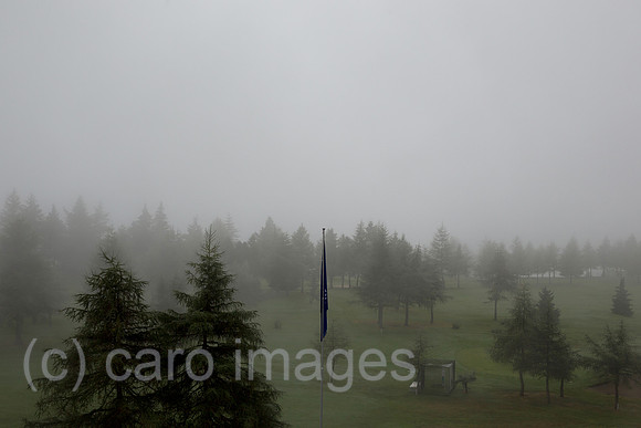0TS160917D013CARO.JPG
