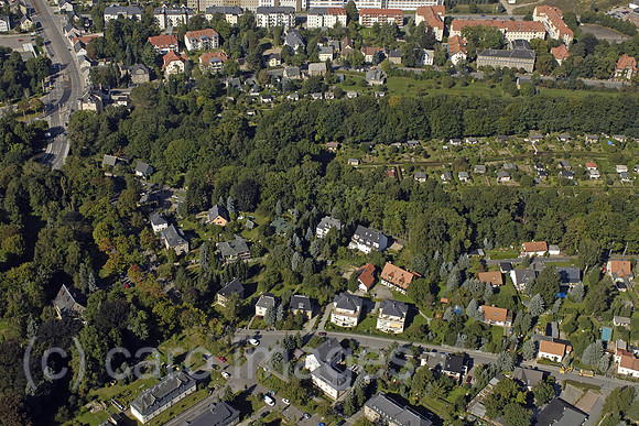 0UX050923D333CARO.JPG