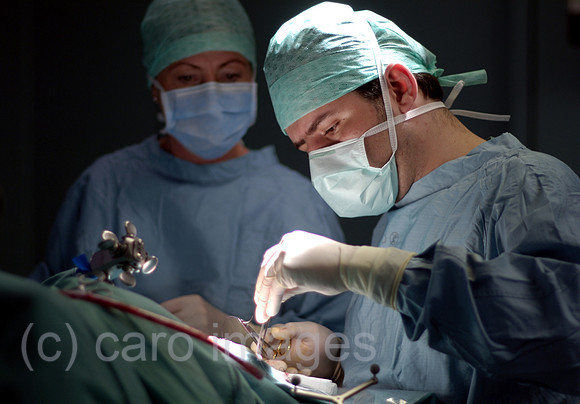 0UX050503D039CARO.JPG