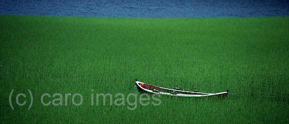 0UX020812D007CARO.JPG