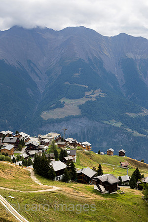 0TS160916D006CARO.JPG