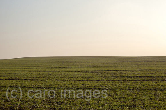 0TS170131D009CARO.JPG