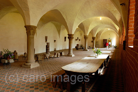 0UX050516D046CARO.JPG