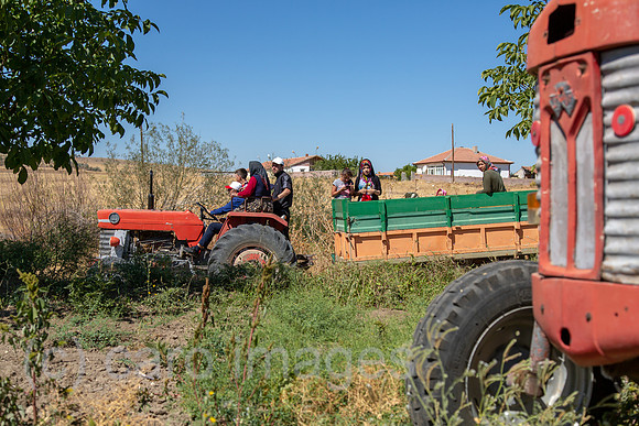 Tuerkei, Bogazkoey Sarıyahsi - Bauernfamilie bei der Ernte