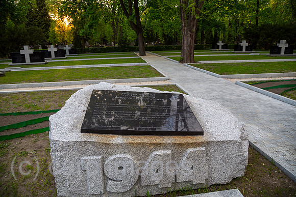 Polen, Warschau - Graeberfeld fuer 700 Opfer (Kaempfer und Zivilisten) der brutalen Niederschlagung des Warschauer Aufstand 1944 durch die Deutschen, Powazki Militaerfriedhof (Cmentarz Wojskowy)