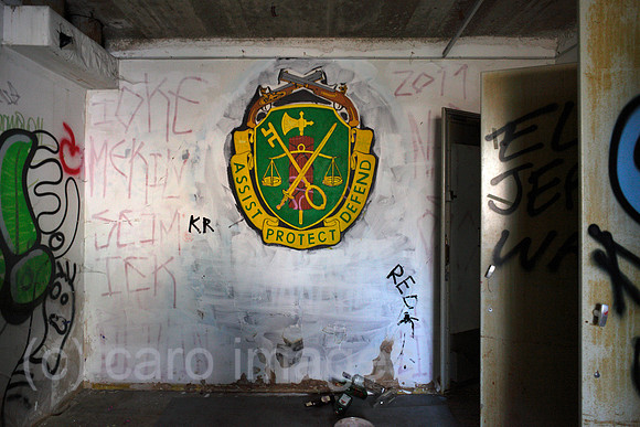 00P140111D005CARO.JPG