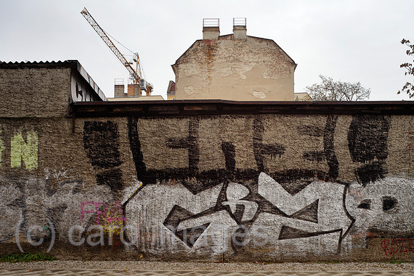 00P131123D216CARO.JPG