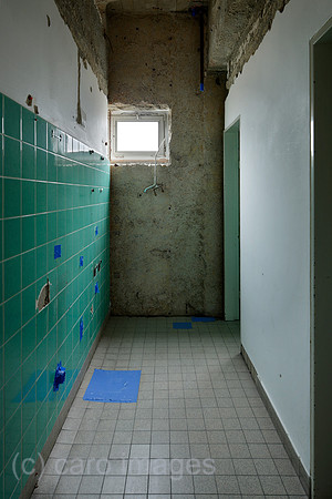 00P131123D212CARO.JPG
