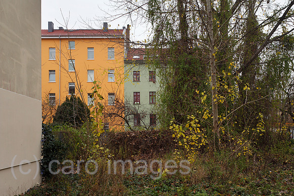 00P131123D218CARO.JPG