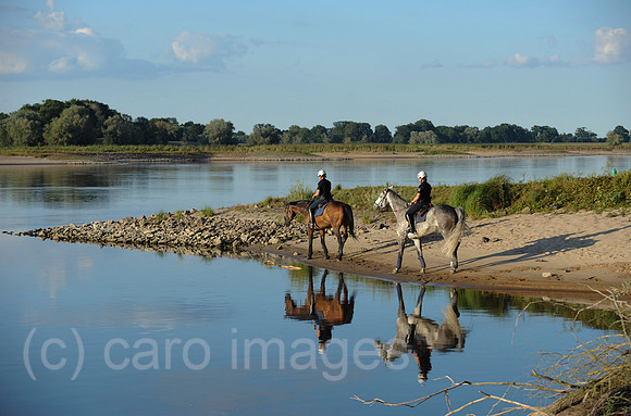 00K140715D096CARO.JPG