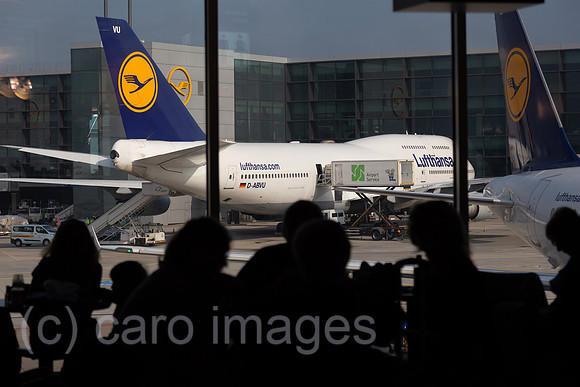 00A160528D045CAROEX.JPG