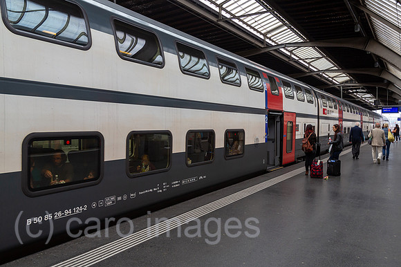 00A161001D005CAROEX.JPG
