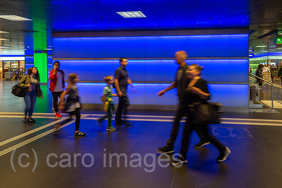 00A161001D010CAROEX.JPG