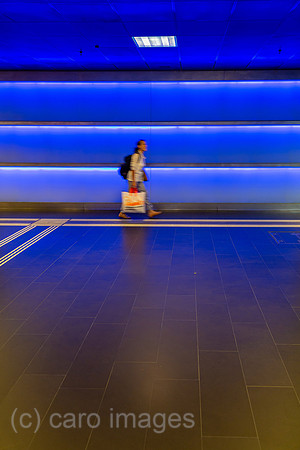 00A161001D017CAROEX.JPG