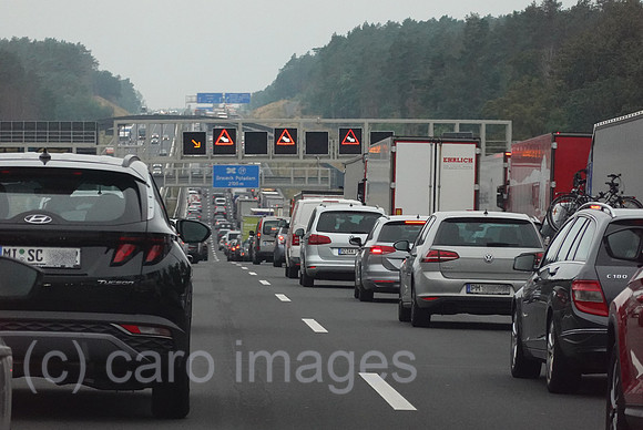 00S220819D130CAROEX.JPG