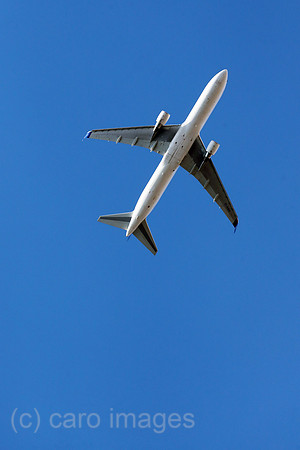 00S220822D509CAROEX.JPG