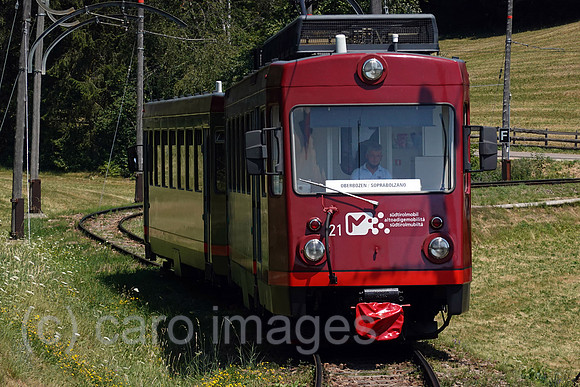 00S220720D422CAROEX.JPG