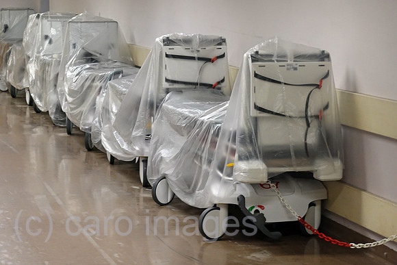00S220912D447CAROEX.JPG