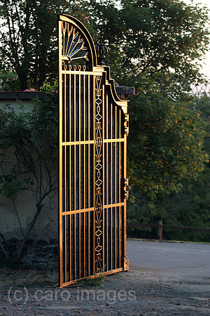 00S220823D152CAROEX.JPG