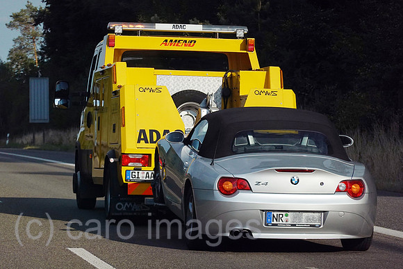 00S220823D156CAROEX.JPG