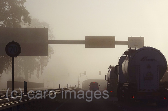 00S221026D229CAROEX.JPG