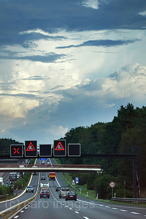 00S220910D208CAROEX.JPG