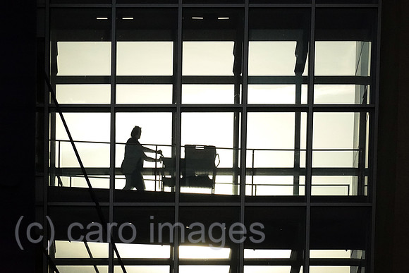00S220818D203CAROEX.JPG