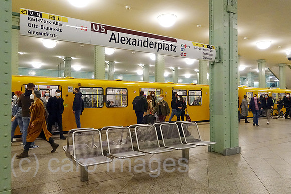 00S220414D295CAROEX.JPG