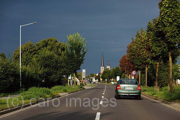 00S210822D064CAROEX.JPG
