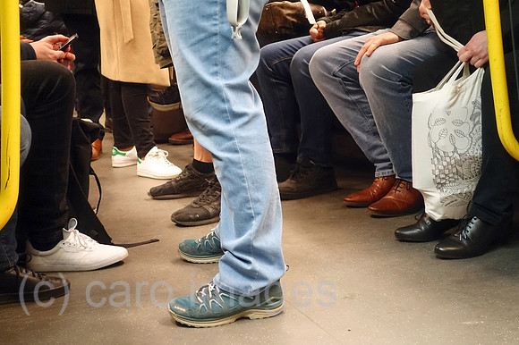 00S220414D293CAROEX.JPG