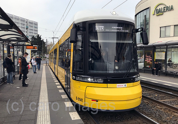00S220414D282CAROEX.JPG