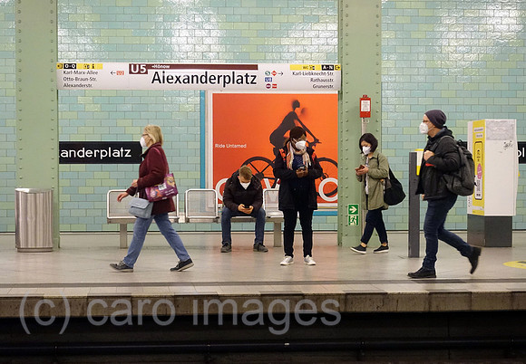 00S220414D294CAROEX.JPG