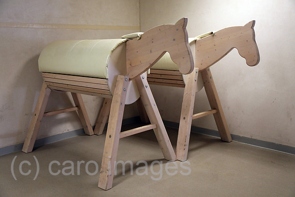 00S220223D135CAROEX.JPG