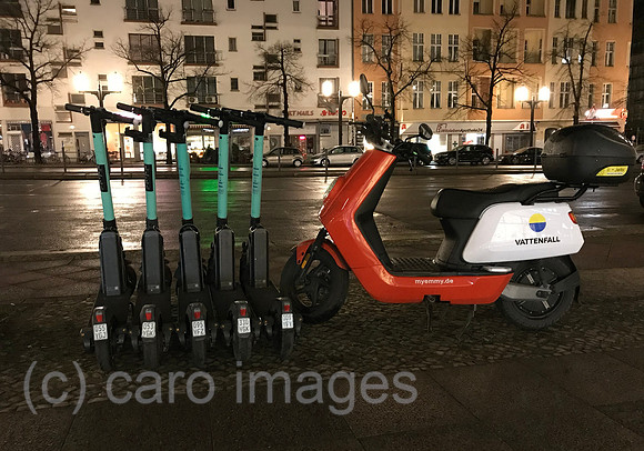 00S220405D245CAROEX.JPG