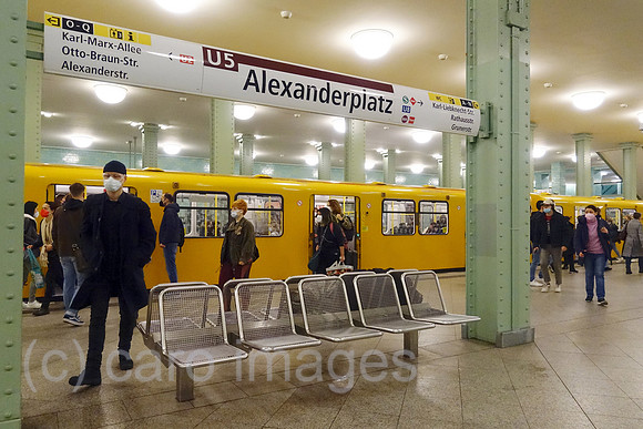 00S220414D296CAROEX.JPG